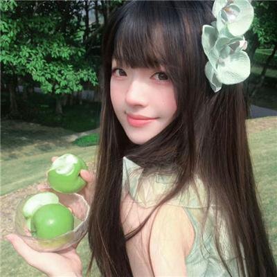 动物狂想曲第一季